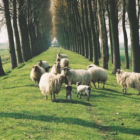 B&B Landgoed Rijckholt Geersdijk Luaran gambar